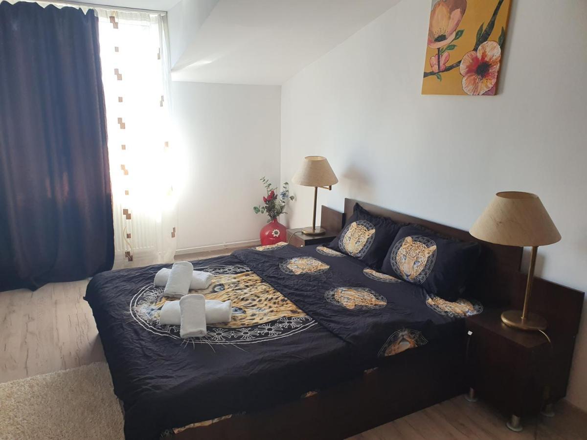 מלון טימישוארה Casa Lions מראה חיצוני תמונה