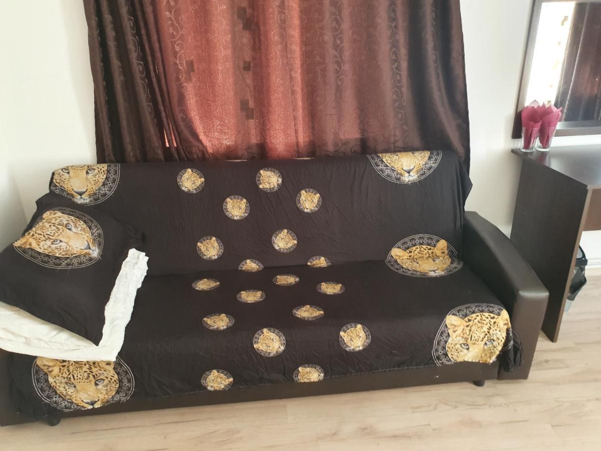 מלון טימישוארה Casa Lions מראה חיצוני תמונה