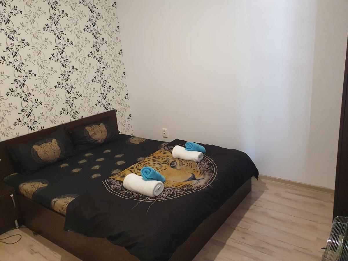 מלון טימישוארה Casa Lions מראה חיצוני תמונה