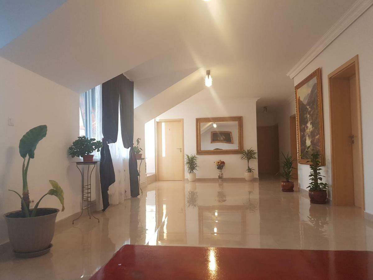 מלון טימישוארה Casa Lions מראה חיצוני תמונה