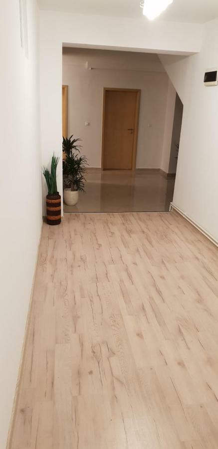 מלון טימישוארה Casa Lions מראה חיצוני תמונה
