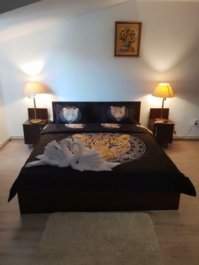 מלון טימישוארה Casa Lions מראה חיצוני תמונה