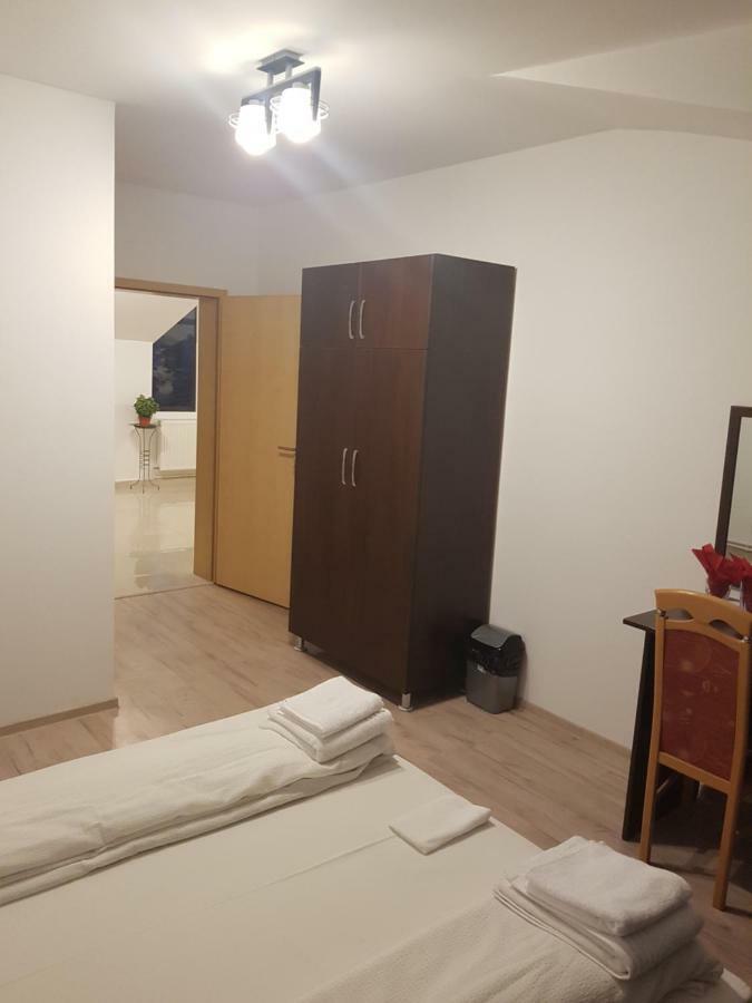 מלון טימישוארה Casa Lions מראה חיצוני תמונה
