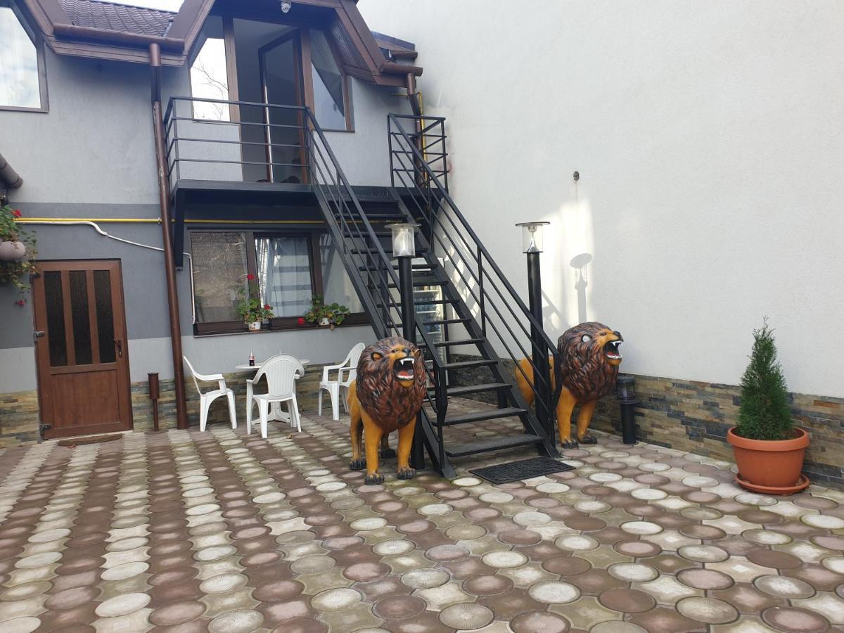 מלון טימישוארה Casa Lions מראה חיצוני תמונה